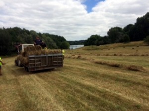 Montceau, ville verte…