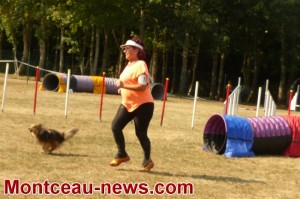 Educ Agility Passion ( Sanvignes )