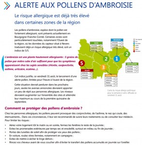 Alerte aux pollens d&rsquo;ambroisie (Environnement – santé)