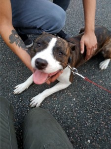 Trouvé près de Montcenis…