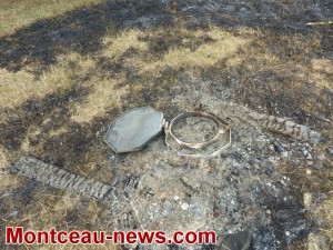 Faits divers : Parc Maugrand (Montceau)