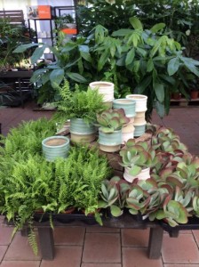 Villaverde (Montceau – Gourdon)