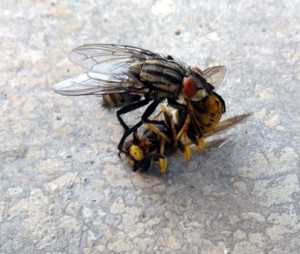 Nos lecteurs ont toujours le bon reflex(e)