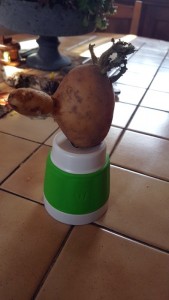 Il ne lui manque plus que la parole ! » (Pouilloux)