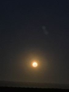 Nos lecteurs ont toujours le bon reflex(e)