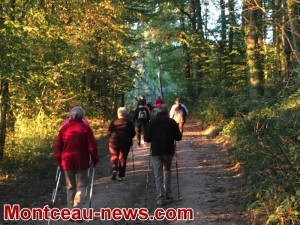 Marche Nordique (Montceau-Les-Mines) 