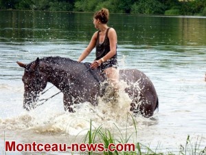 Centre équestre de Monthury Montceau-les-mines