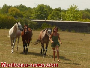 Week-ends aux Grands Parcs (Montceau)