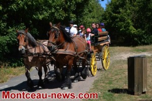 Montceau-les-Mines : week-ends aux grands parcs