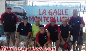 Gaule montcellienne (Montceau)