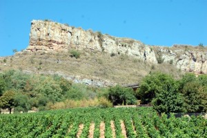 Nos lecteurs ont toujours le bon reflex(e)