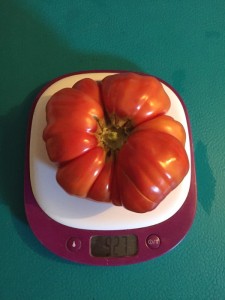 Nos lecteurs ont la main verte…