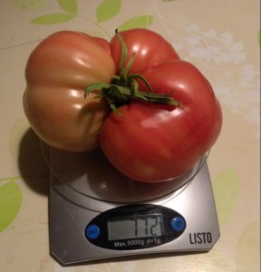 Nos lecteurs ont la main verte…