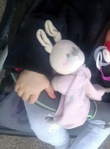 Perdu à la brocante du Plessis, ce dimanche