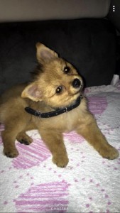 Disparue à Montceau