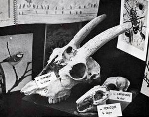 Nouvel article sur le blog de la Maison d&rsquo;Ecole (Montceau)