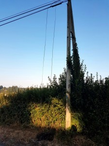 Rue Jean Baptiste Philippon à Saint-Vallier ( bis)