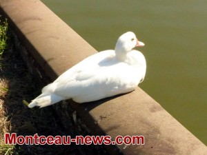 Vu insolite Montceau