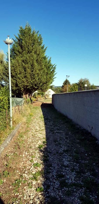 lec 0109181