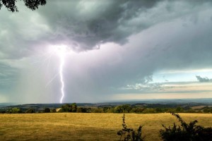 Nos lecteurs ont toujours le bon reflex(e)