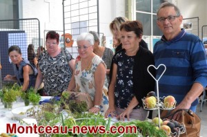Montceau-les-Mines : Forum Santé et Bien-Etre