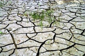Sécheresse en Bourgogne-Franche-Comté