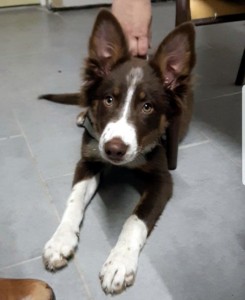 Disparue à Saint-Vallier