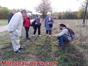 Semaine Bleue ( Montceau)