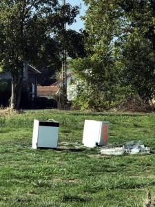 « Nouvelle décharge au Magny »