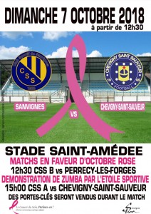 C.S.Sanvignes (Foot)