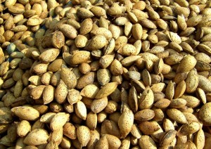 Semaine du goût au centre hospitalier Jean Bouveri