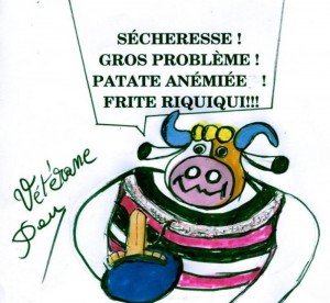 La pensée de la Joyeuse du lundi