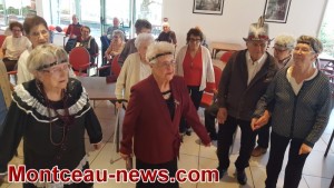 Résidence Henri Malot ( Montceau)