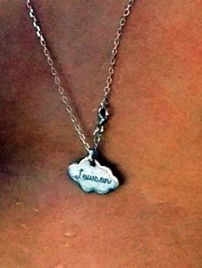 Perdue à Montceau ou Sanvignes