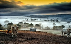 Nos lecteurs ont du talent