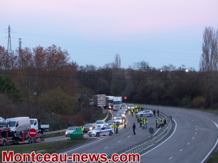 JAUNE 2411184