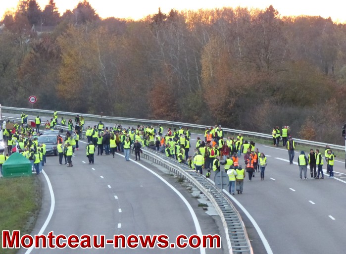 JAUNE 2411189