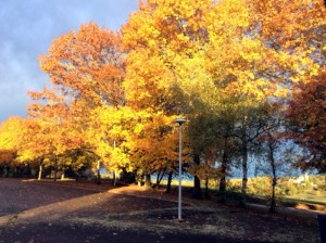 Nos lecteurs ont le bon reflex(e)