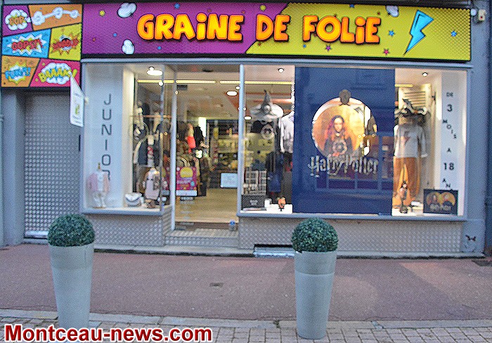 folie 15111828