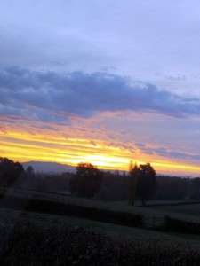 Nos lecteurs ont le bon reflex(e)