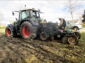 Tulipes contre le cancer 2019