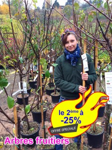 Villaverde (Montceau – Gourdon)