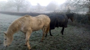 A Saint-Vallier :  pas un indien mais…