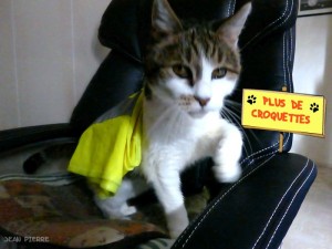 Dans la série:  moi aussi je revendique…