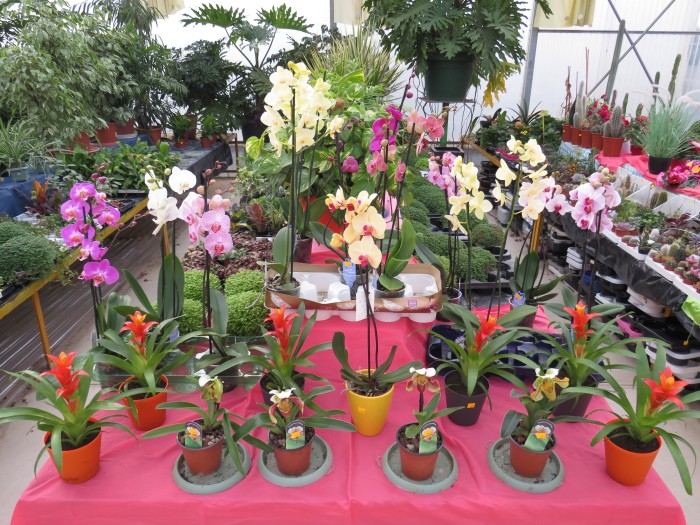 pouilloux 05121812