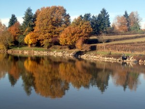 Perche du Centre (Saint-Vallier)