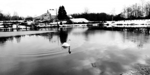 Nos lecteurs ont toujours le bon reflex(e)