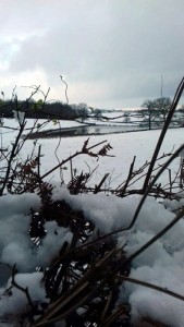Nos lecteurs ont toujours le bon reflex(e)