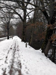 Nos lecteurs ont toujours le bon reflex(e)