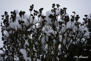 Nos lecteurs ont toujours le bon reflex(e)
